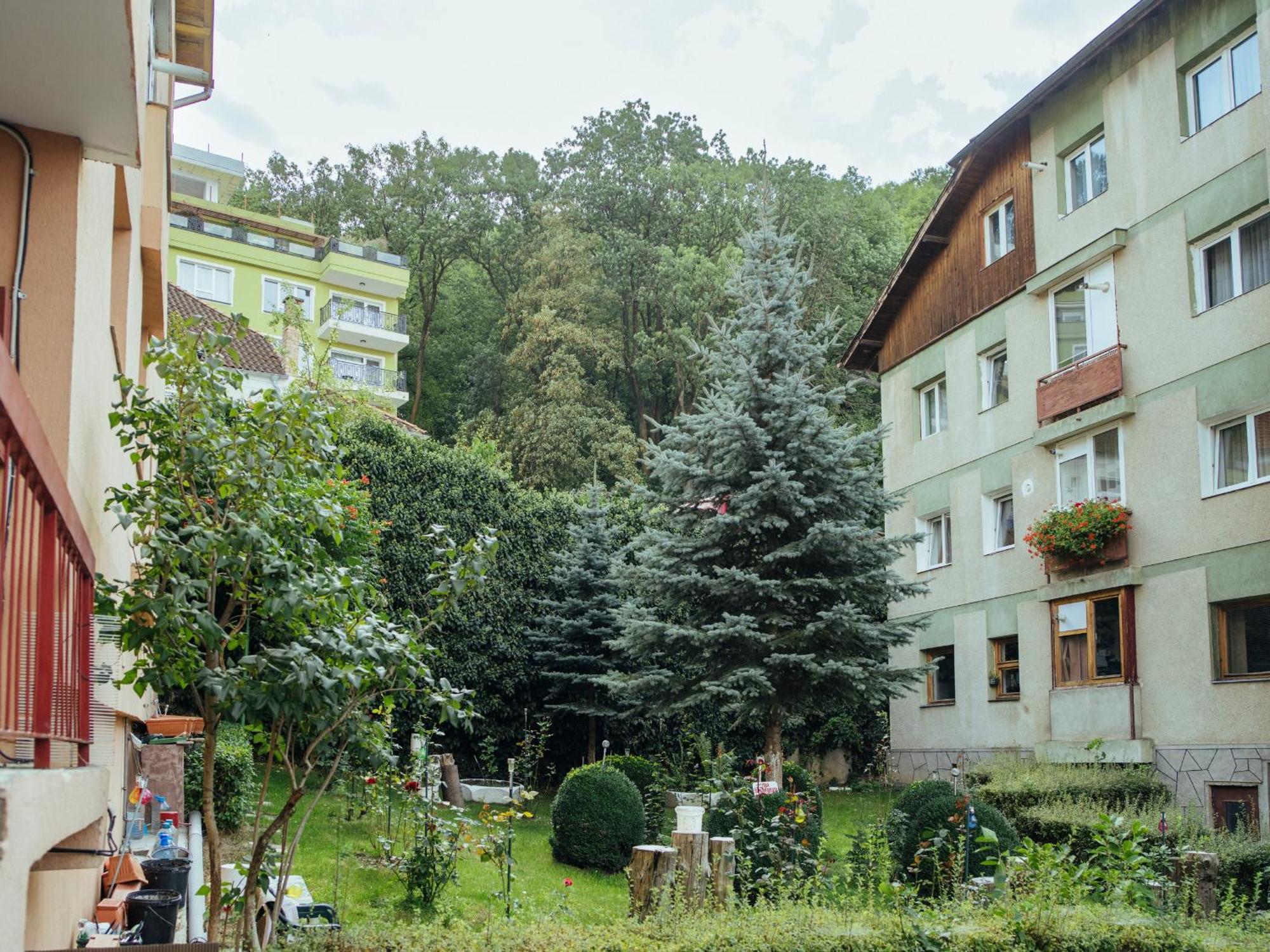 Apartment Cozy Central Near The Forest
